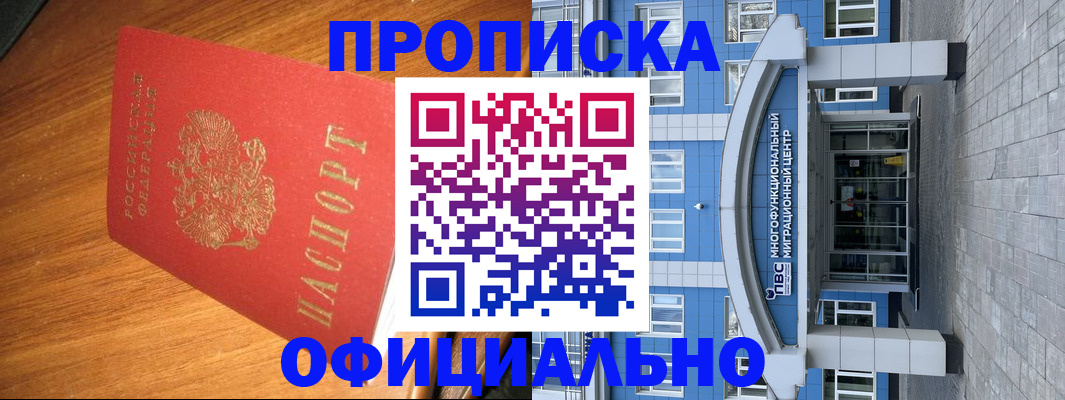 временная регистрация для школы в Лыткарино